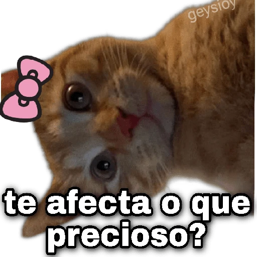 😘🪄 Coqueto Amor✨💖