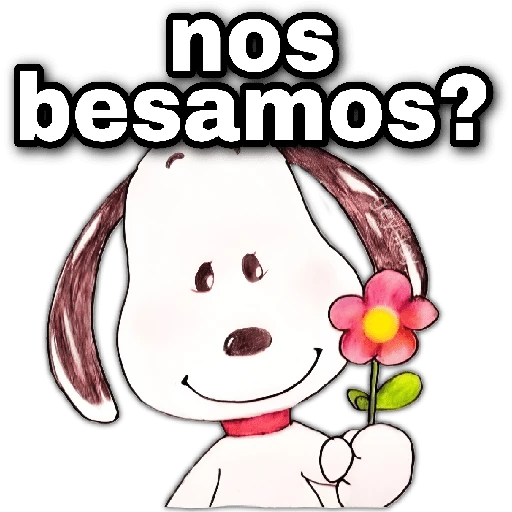 😘🪄 Coqueto Amor✨💖
