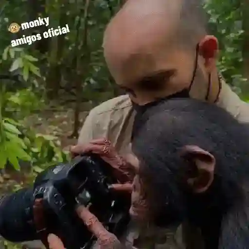 Monky Amigos Oficial 🐒💚