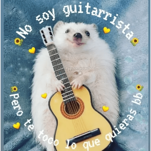 Coquetos 2 preview