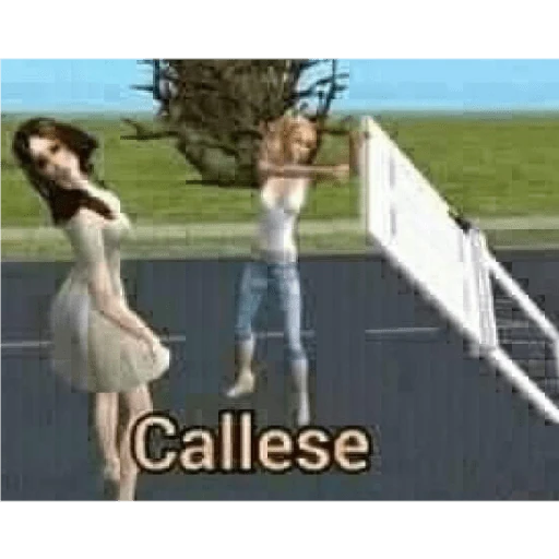 coquetos