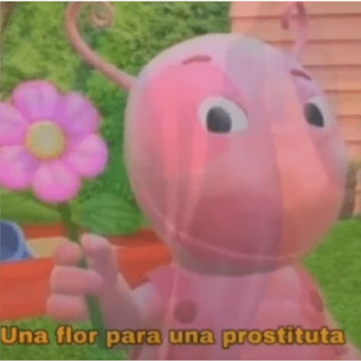 coquetos