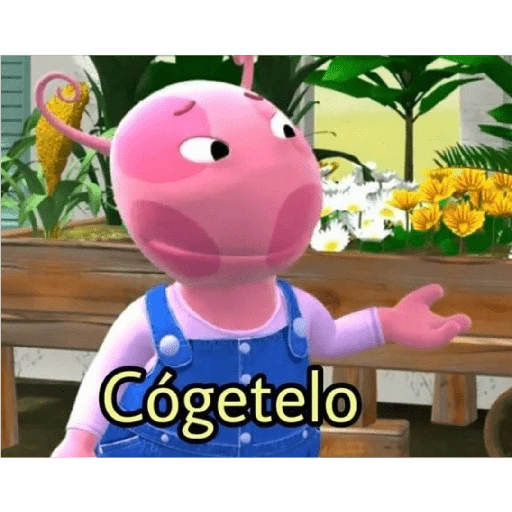 coquetos