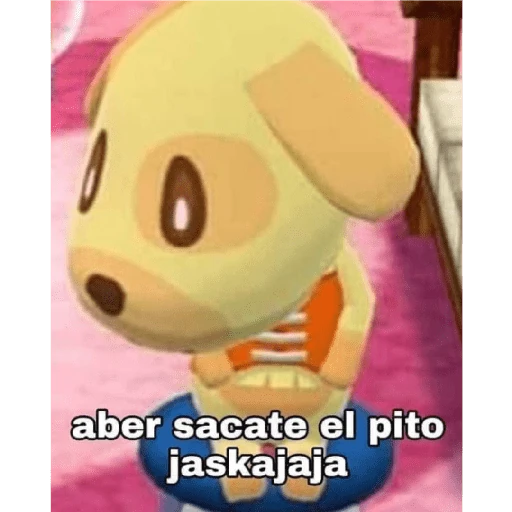 coquetos