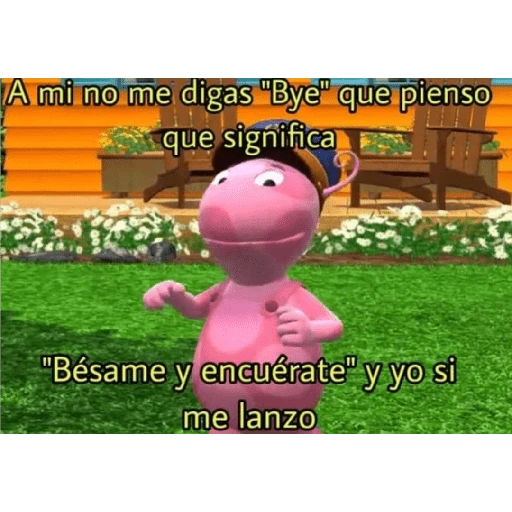 coquetos