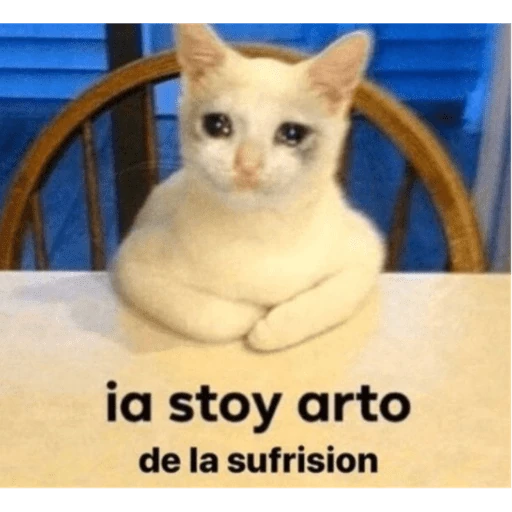 Animalitos coquetos