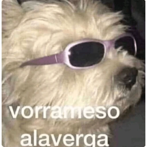 Animalitos coquetos