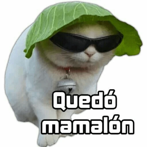 Animalitos coquetos