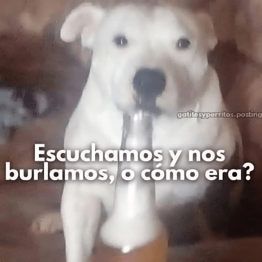 Reacciones Variadas #5 ☕