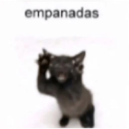 Reacciones Variadas #5 ☕