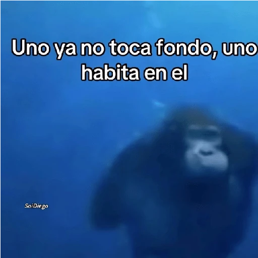 Reacciones Variadas #5 ☕