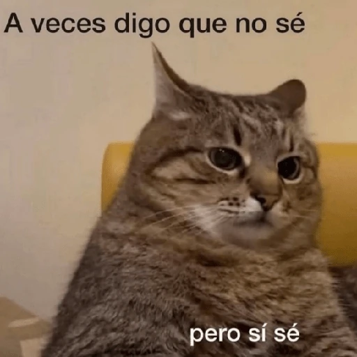 Reacciones Variadas #3 🔮