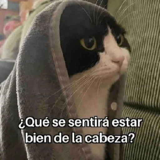 Reacciones Variadas #3 🔮