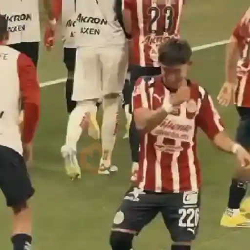 Chivas🐐🥅 Futbol ⚽