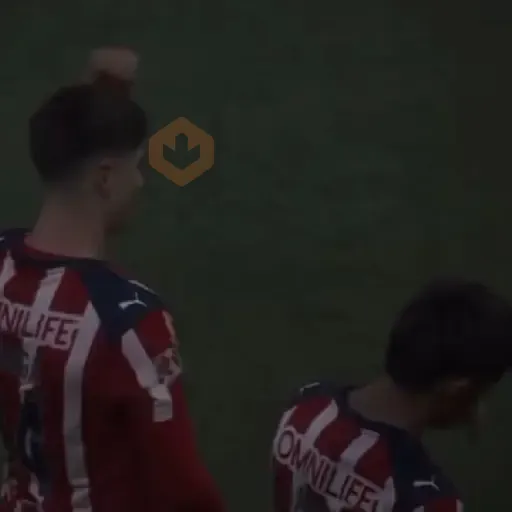 Chivas🐐🥅 Futbol ⚽