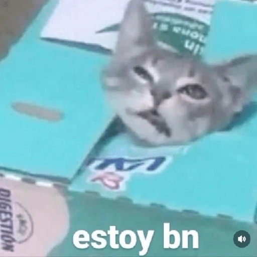 💬🫙 Pa' Responder 🫙💬 6