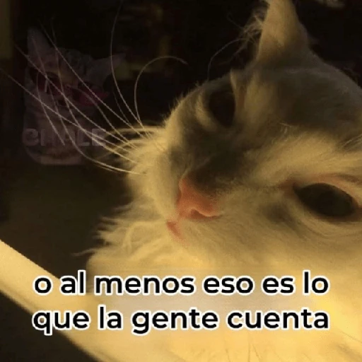 💬🫙 Pa' Responder 🫙💬 6