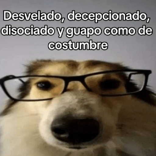 💬🫙 Pa' Responder 🫙💬 6