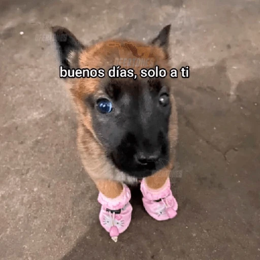 💬🫙 Pa' Responder 🫙💬 6
