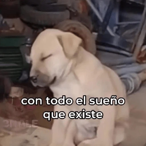 💬🫙 Pa' Responder 🫙💬 6