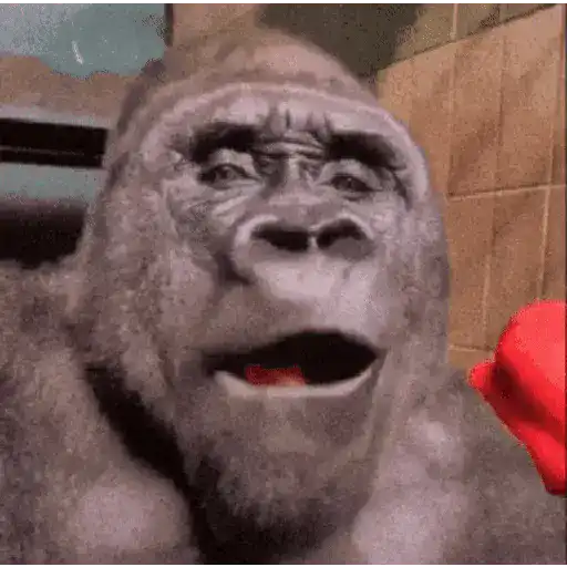 🍌 Monitos 🐵🐒