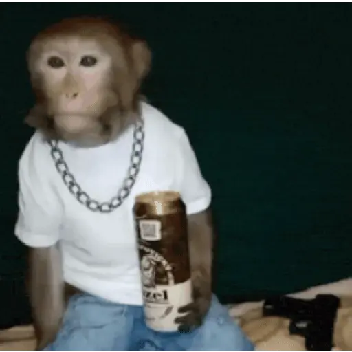 🍌 Monitos 🐵🐒
