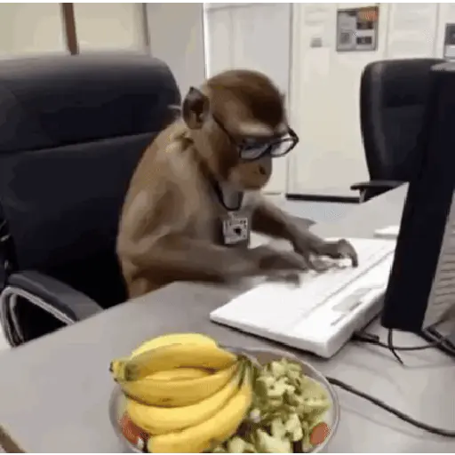 🍌 Monitos 🐵🐒