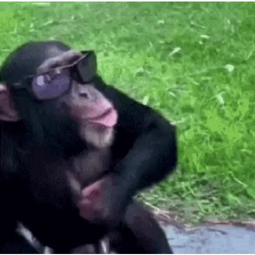 🍌 Monitos 🐵🐒