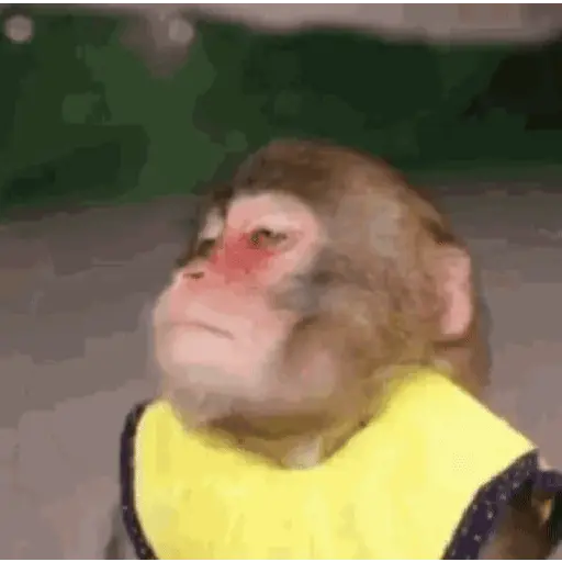 🍌 Monitos 🐵🐒