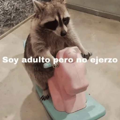 💬🫙 Pa' Responder 🫙💬 5
