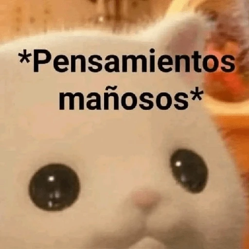 💬🫙 Pa' Responder 🫙💬 5
