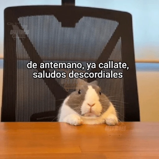 💬🫙 Pa' Responder 🫙💬 5