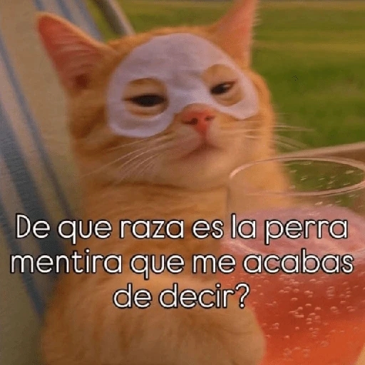 💬🫙 Pa' Responder 🫙💬 5