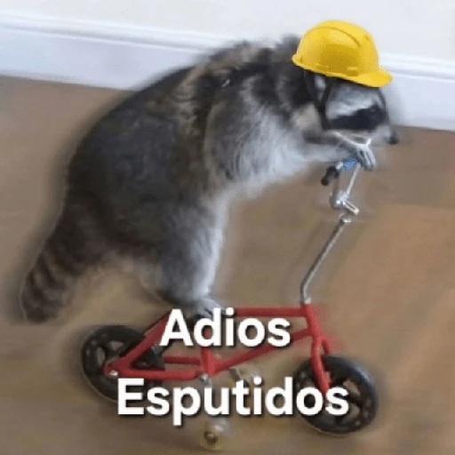 💬🫙 Pa' Responder 🫙💬 5