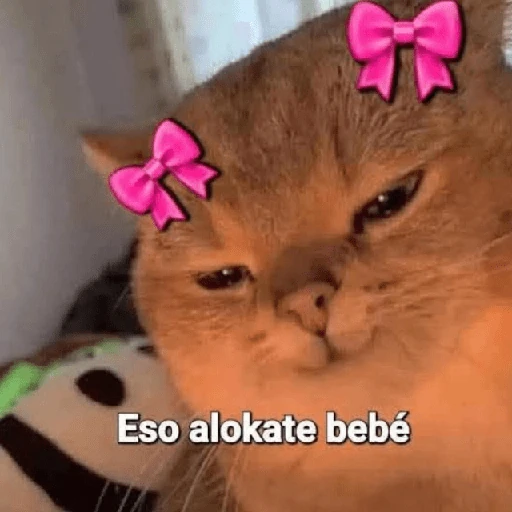 💬🫙 Pa' Responder 🫙💬 5