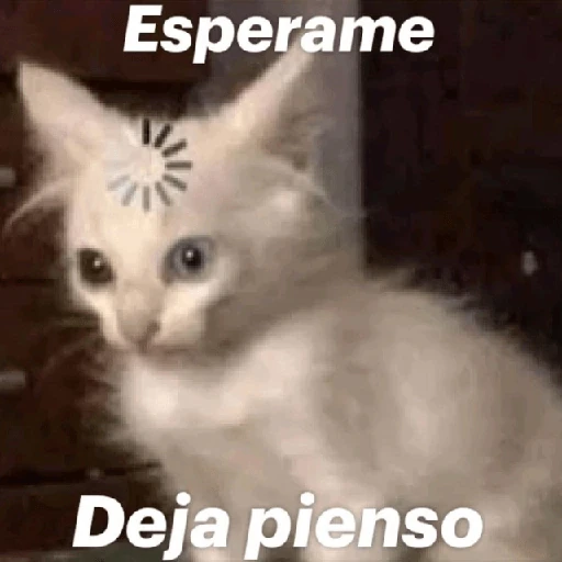💬🫙 Pa' Responder 🫙💬 3