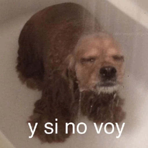 💬🫙 Pa' Responder 🫙💬 3