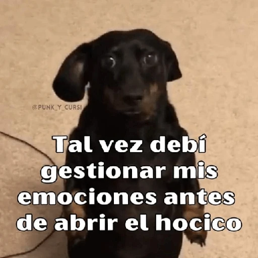 💬🫙 Pa' Responder 🫙💬 3