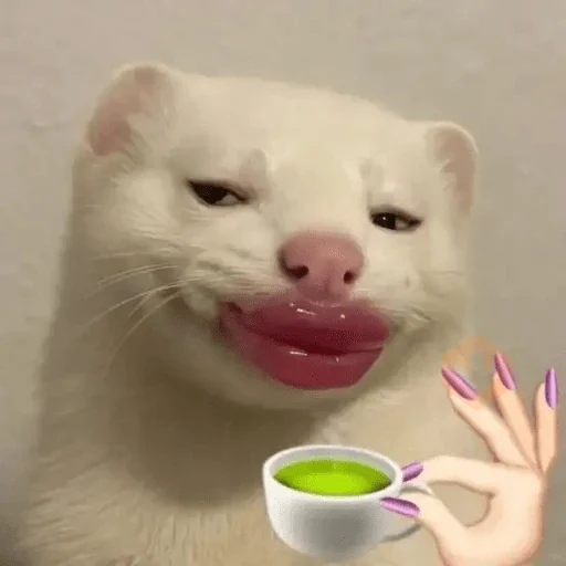 Random Tiktok🎵💸 sticker 21