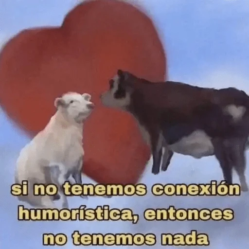 Animales Chingones🌟🌈