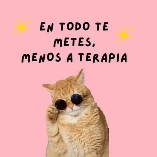 Animales Chingones🌟🌈