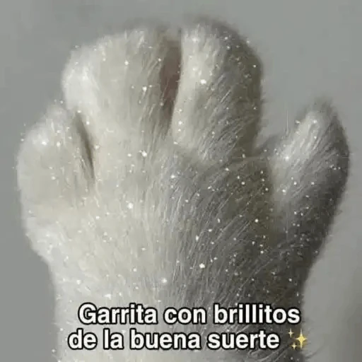Animales Chingones🌟🌈