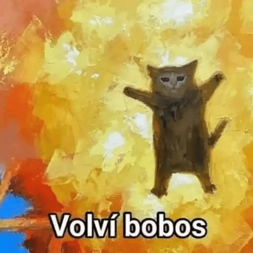 Animales Chingones🌟🌈