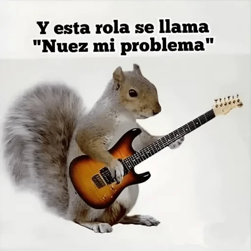 Animales Chingones🌟🌈