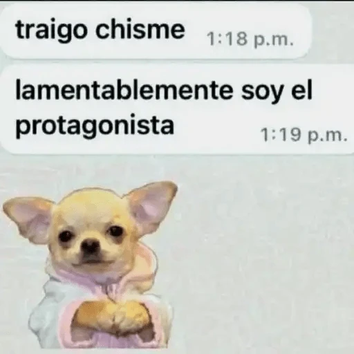Animales Chingones🌟🌈