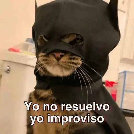 Animales Chingones🌟🌈