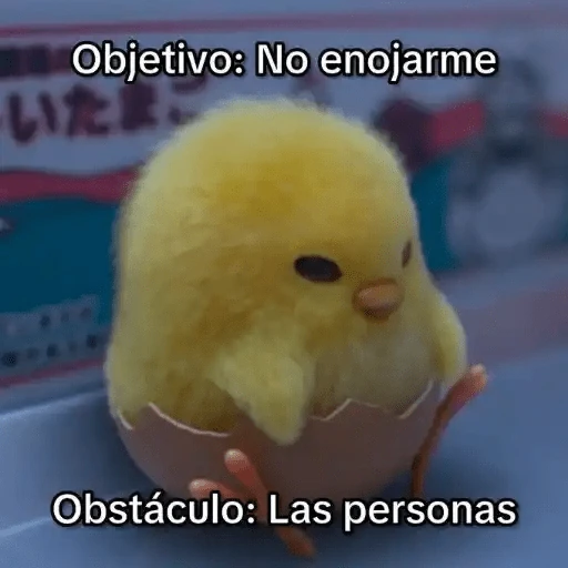 Animales Chingones🌟🌈