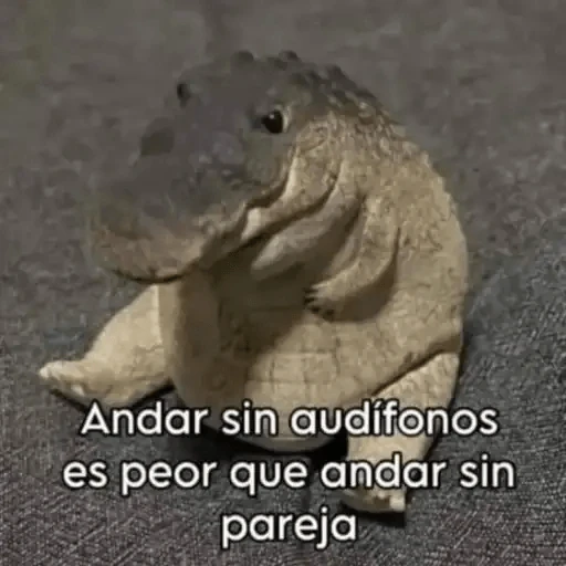 Animales Chingones🌟🌈