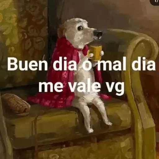 Animales Chingones🌟🌈