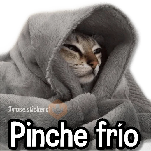 Memes en Tendencia 2🔥